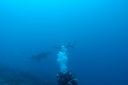 DSC00716.JPG