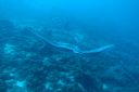 DSC00729.JPG