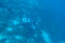 DSC00735.JPG