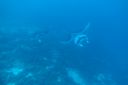 DSC00736.JPG