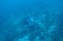 DSC00741.JPG