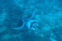 DSC00743.JPG
