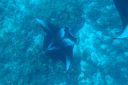 DSC00745.JPG