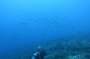 DSC00753.JPG