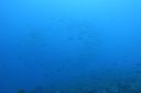 DSC00754.JPG