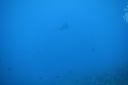 DSC00755.JPG