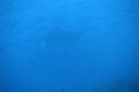 DSC00756.JPG