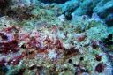 DSC00757.JPG
