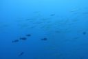 DSC00759.JPG
