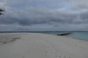 DSC00779.JPG