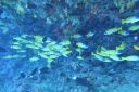 DSC00808.JPG