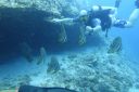 DSC00815.JPG