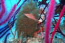 DSC00821.JPG