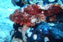 DSC00828.JPG