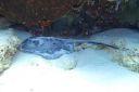 DSC00830.JPG