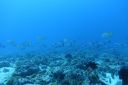 DSC00834.JPG