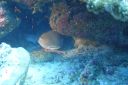 DSC00848.JPG