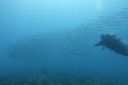 DSC00850.JPG
