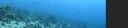 DSC00851.JPG