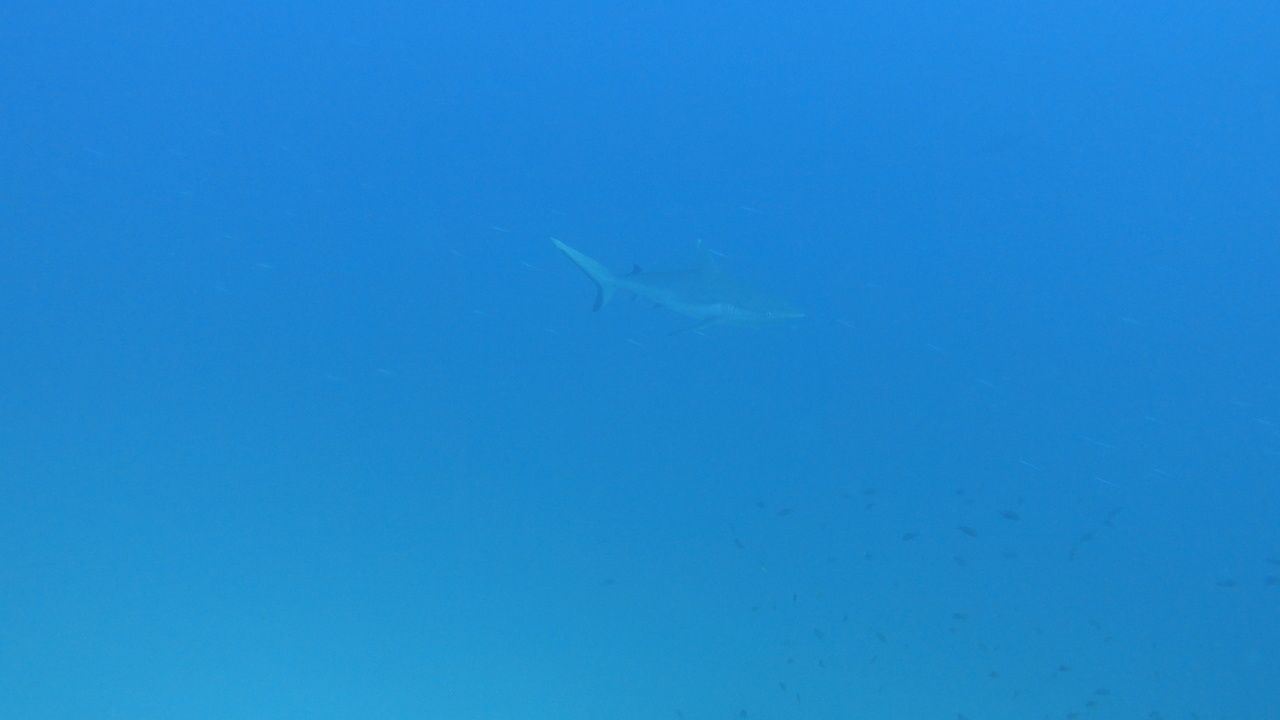 DSC00014.JPG