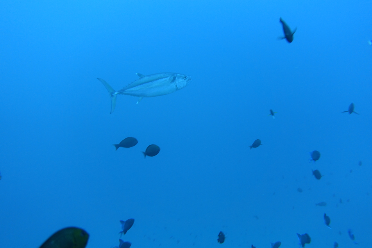 DSC00093.JPG