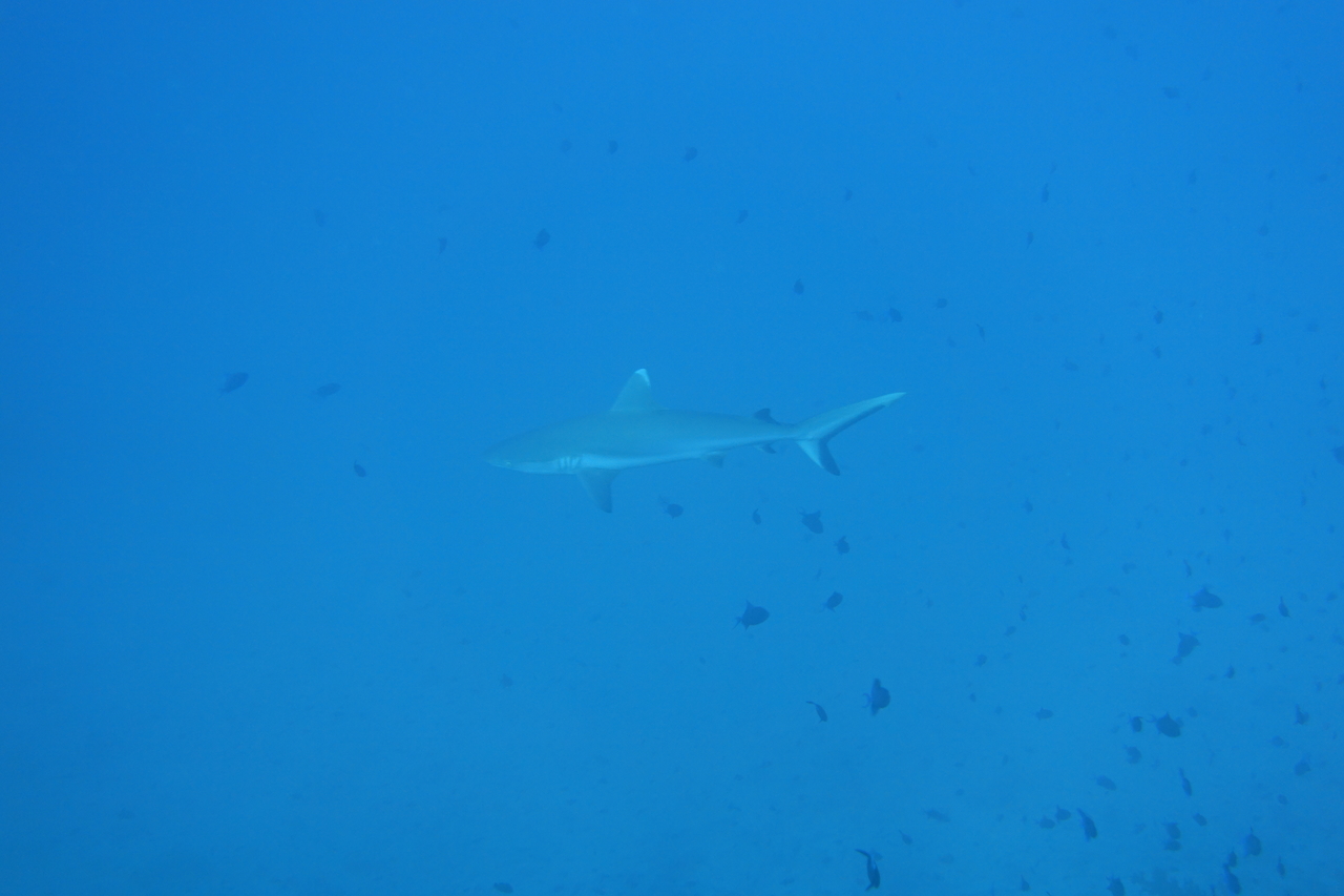 DSC00094.JPG