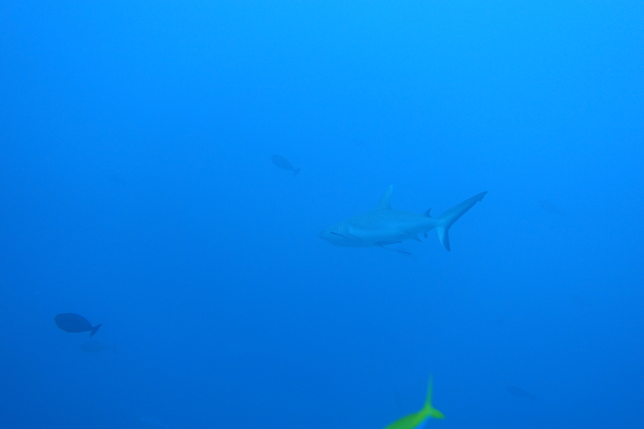 DSC00123.JPG