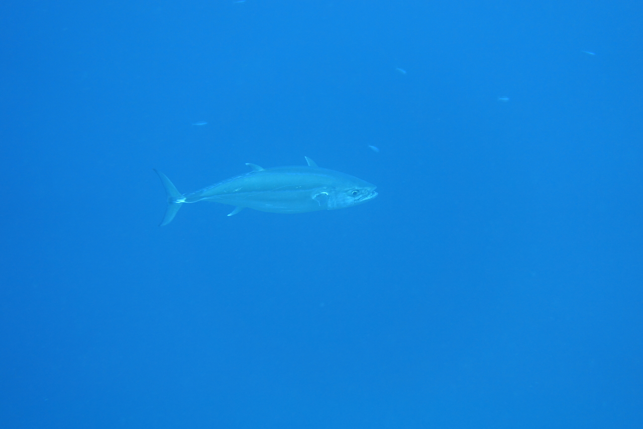 DSC00127.JPG