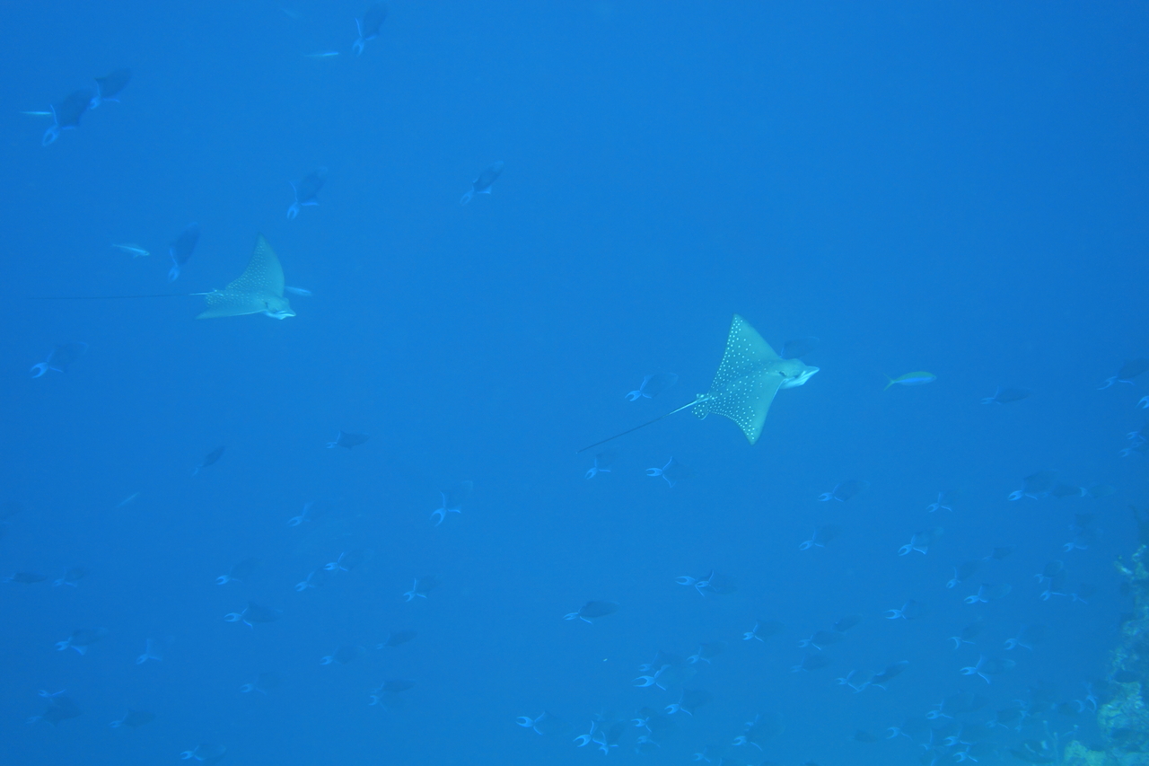 DSC00129.JPG