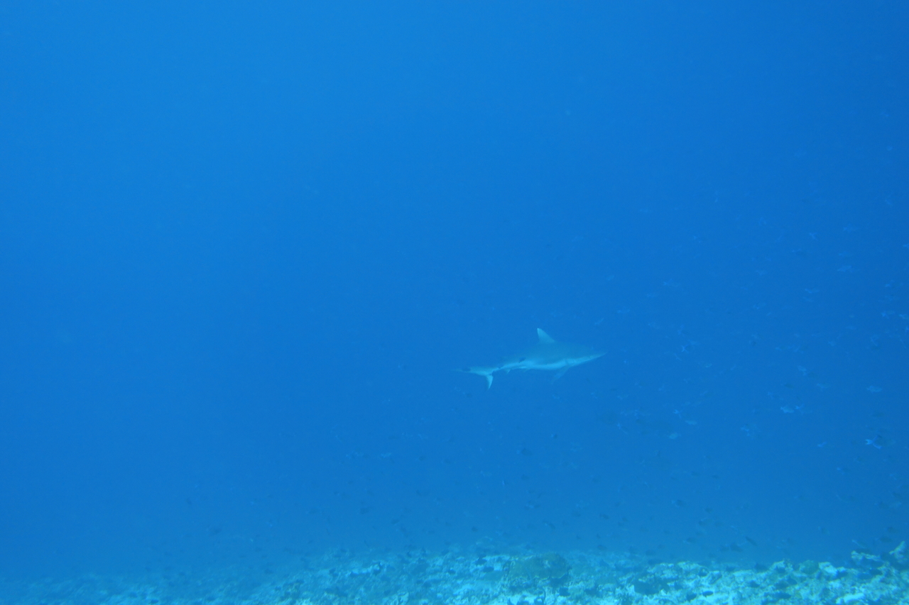 DSC00138.JPG