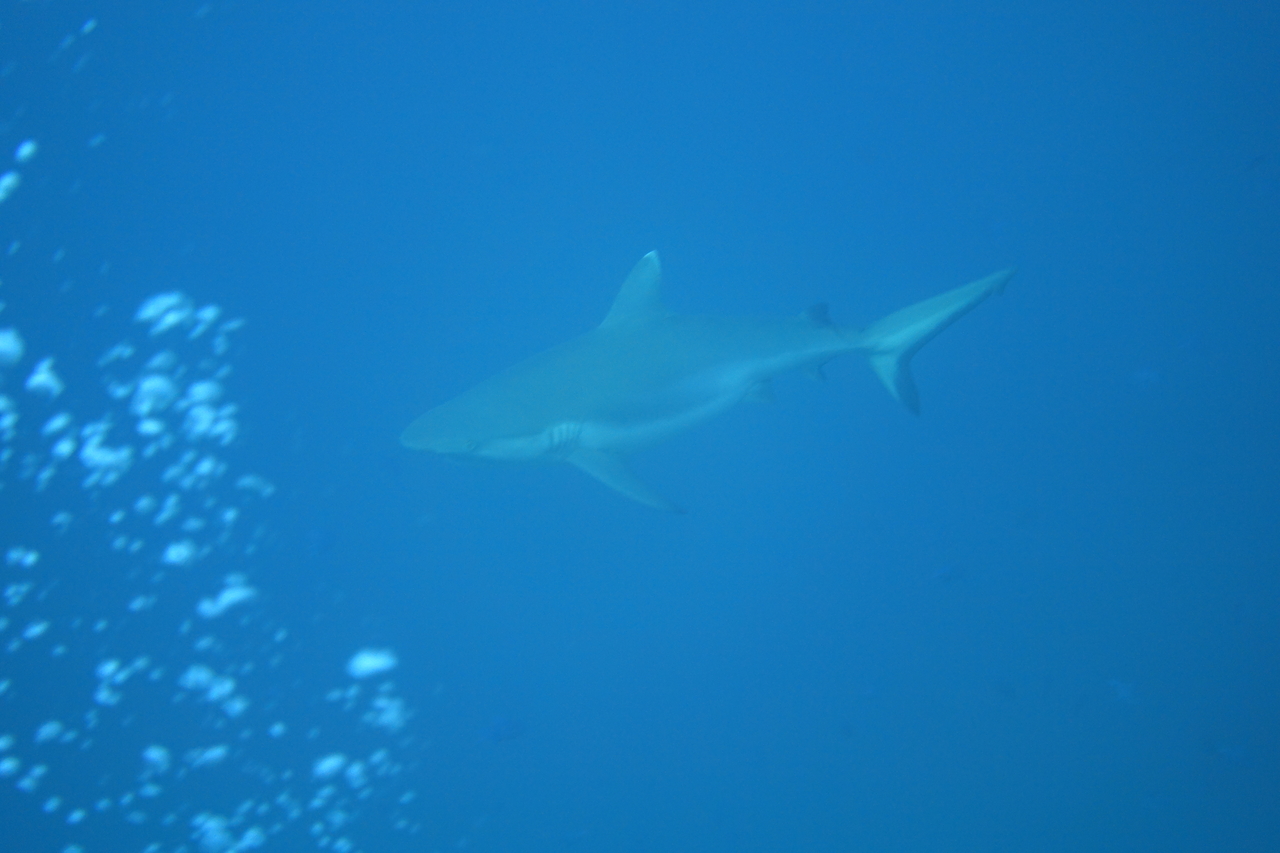 DSC00146.JPG