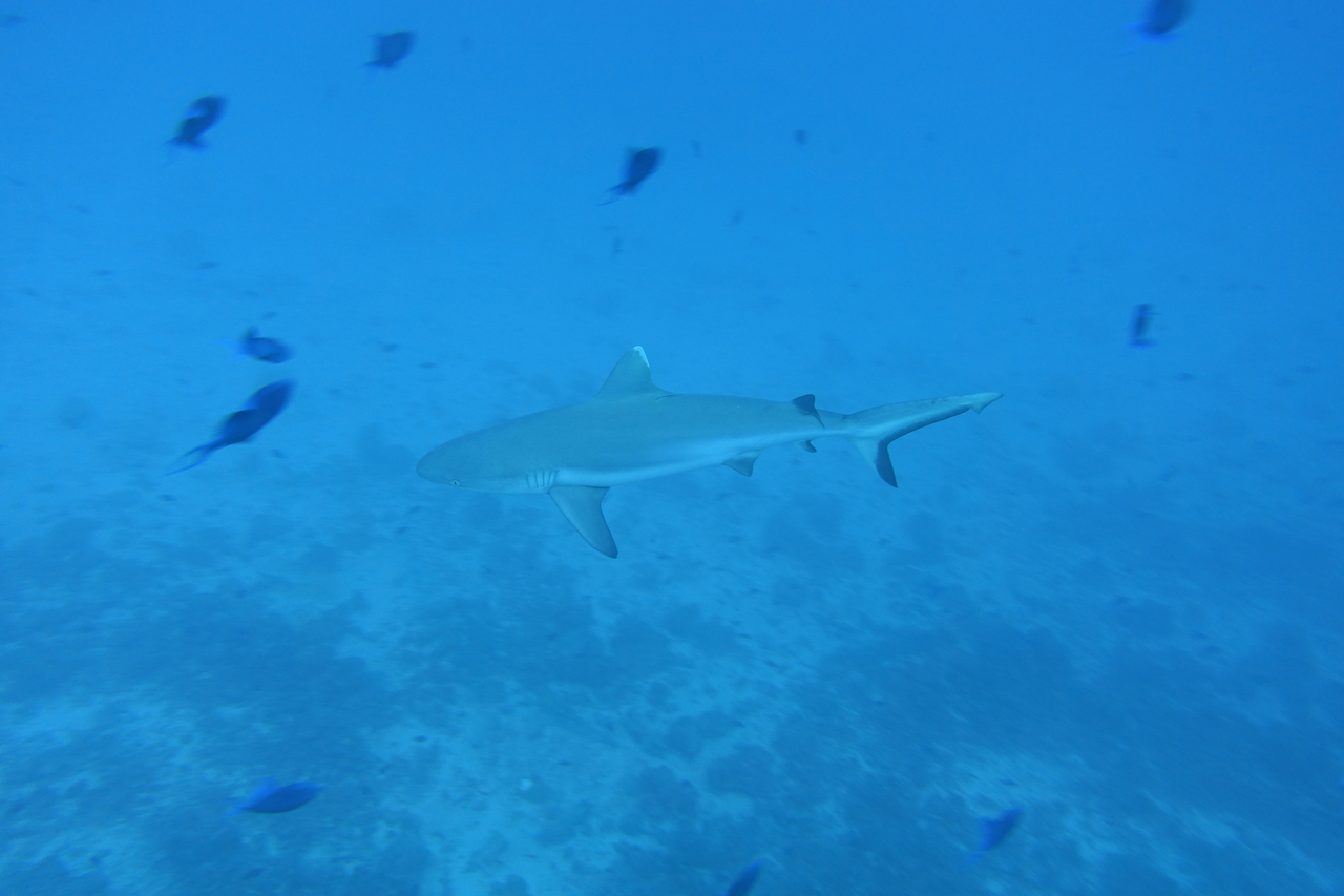 DSC00210.JPG
