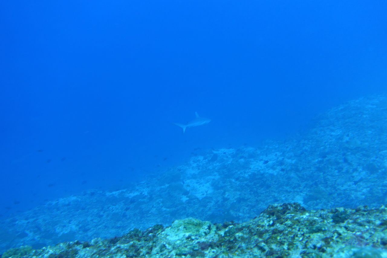 DSC00300.JPG