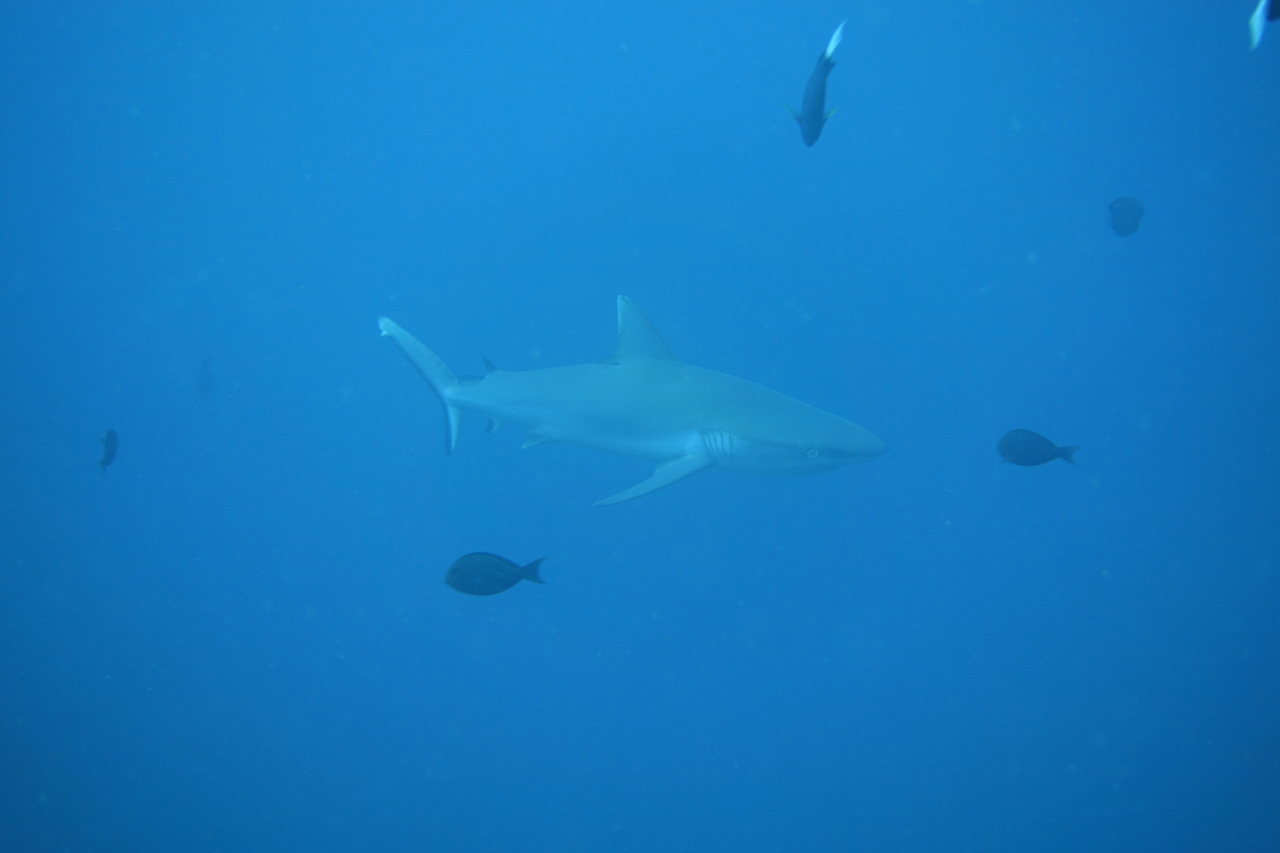 DSC00332.JPG