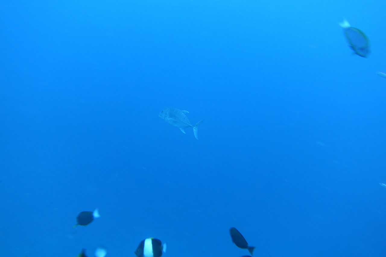 DSC00376.JPG