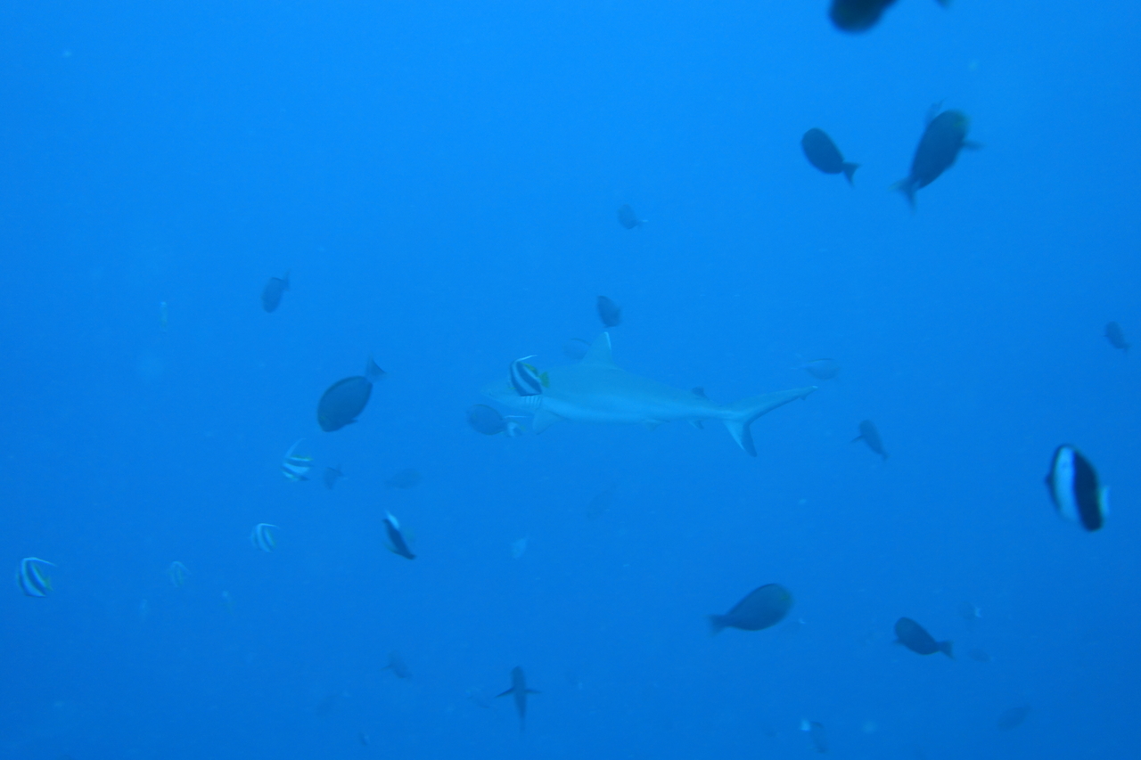 DSC00384.JPG
