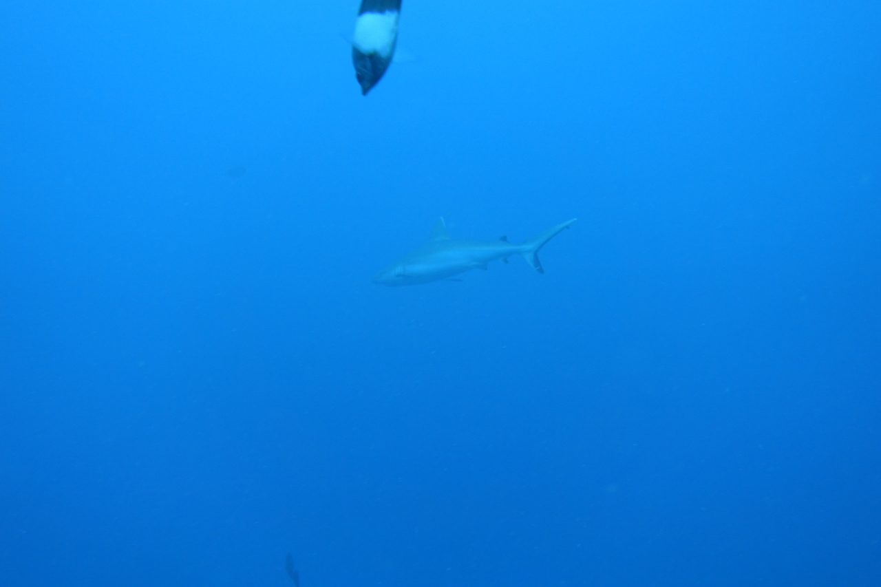 DSC00388.JPG