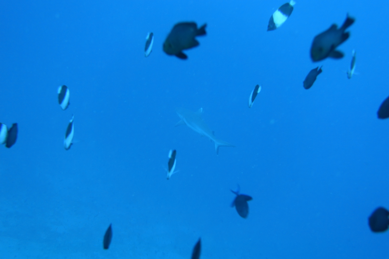 DSC00389.JPG