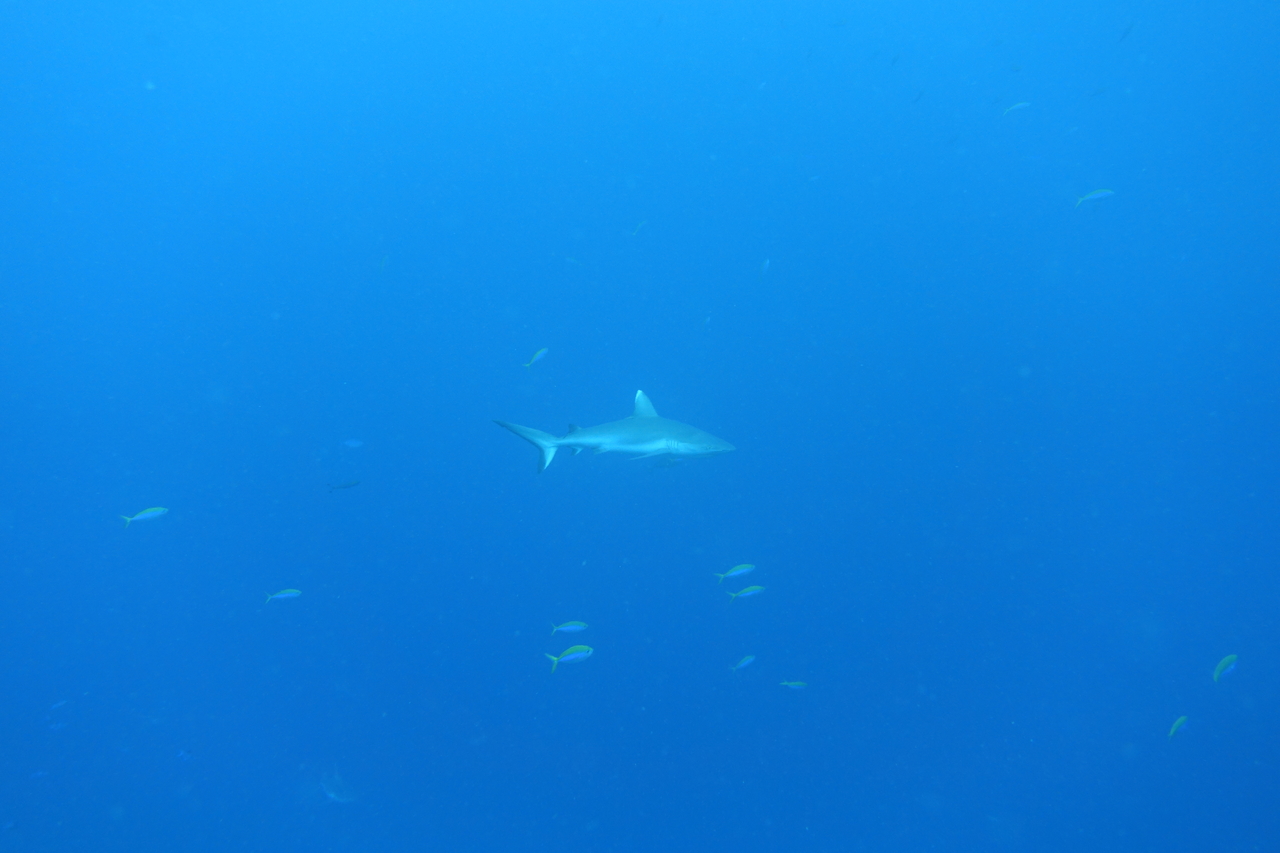 DSC00398.JPG
