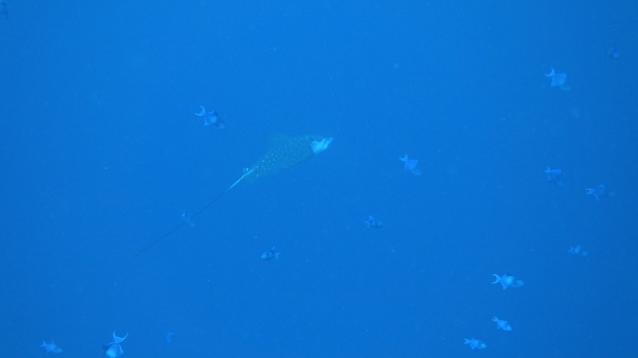 DSC00401.JPG