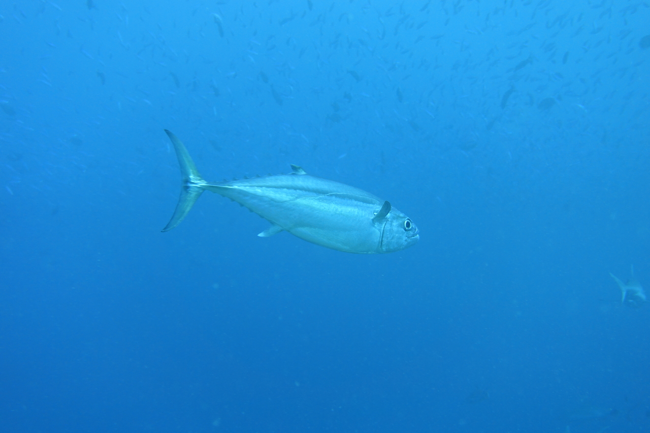 DSC00438.JPG