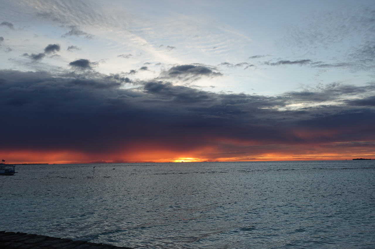 DSC00544.JPG