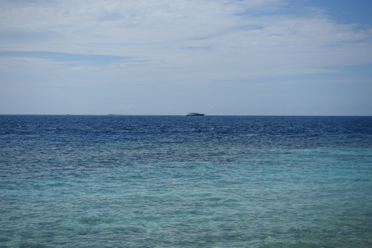 DSC00586.JPG