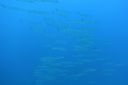 Filename=DSC00003.JPG
Filesize=644KiB
Dimensions=1280x853
Date added=Dec 28, 2019 DSC00003.JPG