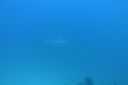 Filename=DSC00012.JPG
Filesize=585KiB
Dimensions=1280x853
Date added=Dec 28, 2019 DSC00012.JPG