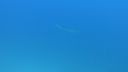 Filename=DSC00014.JPG
Filesize=180KiB
Dimensions=1280x720
Date added=Dec 28, 2019 DSC00014.JPG