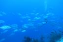 Filename=DSC00019.JPG
Filesize=700KiB
Dimensions=1280x853
Date added=Dec 28, 2019 DSC00019.JPG