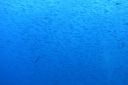 Filename=DSC00021.JPG
Filesize=857KiB
Dimensions=1280x853
Date added=Dec 28, 2019 DSC00021.JPG
