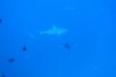 Filename=DSC00024.JPG
Filesize=491KiB
Dimensions=1280x853
Date added=Dec 28, 2019 DSC00024.JPG