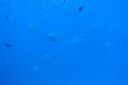 Filename=DSC00028.JPG
Filesize=584KiB
Dimensions=1280x853
Date added=Dec 28, 2019 DSC00028.JPG